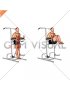 Vertical Leg Raise (on parallel bars) (male)