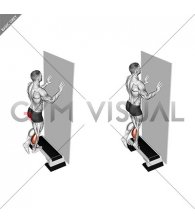 Single Leg Calf Raise Off Step