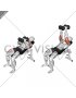 Dumbbell Incline Squeeze Press