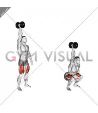 Single Arm Overhead Dumbbell Squat