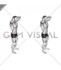 Posterior Neck Isometric