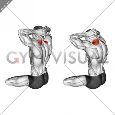 Seated Neck Stretch