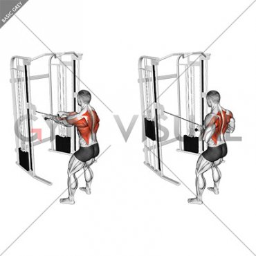 Cable Standing Close Grip Row