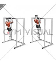 Bent Arms Chin-up