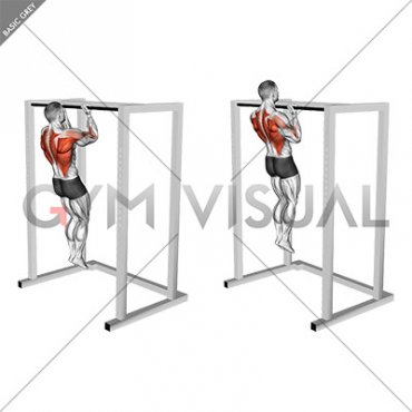 Bent Arms Chin-up