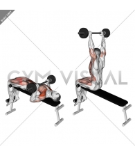 Barbell Press Sit-Up