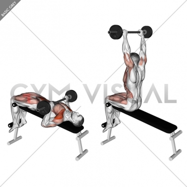 Barbell Press Sit-Up