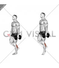Dumbbell Single Leg Calf Raise