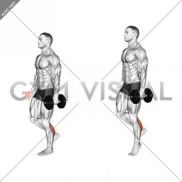 Dumbbell Single Leg Calf Raise