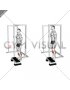 Elevated Standing Calf Raise