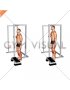 Elevated Standing Calf Raise