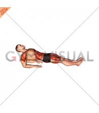 Reverse Plank on Elbows