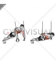 Suspended Push-Up