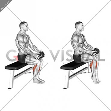 Weighted Seated Calf Raise (VERSION 2)