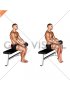 Weighted Seated Calf Raise (VERSION 2)