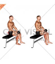 Weighted Seated Single Calf Raise (VERSION 2)