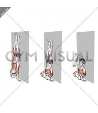 Kipping Handstand Push-up