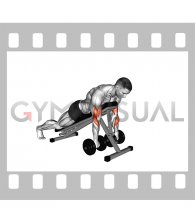 Dumbbell Reverse Spider Curl