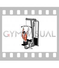Cable Pulldown