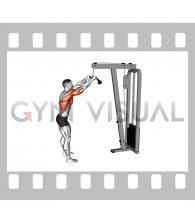 Cable Pushdown (straight arm) (VERSION 2)