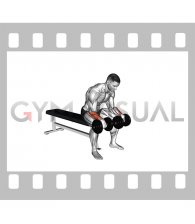 Dumbbell Reverse Wrist Curl