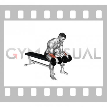 Dumbbell Reverse Wrist Curl