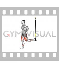 Suspender Split Squat