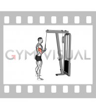 Cable Standing One Arm Triceps Pushdown (Overhand Grip)