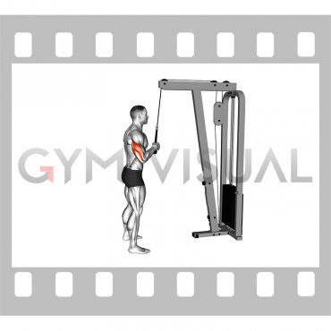 Cable Standing One Arm Tricep Pushdown (Overhand Grip)