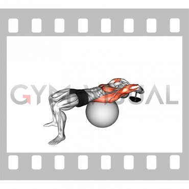 Dumbbell Lying Pullover on Exercise Ball