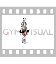 Dumbbell Lunge with Bicep Curl