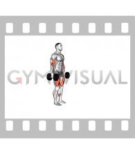 Dumbbell Lunge with Biceps Curl