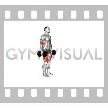 Dumbbell Lunge with Biceps Curl