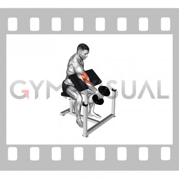 Dumbbell One Arm Hammer Preacher Curl