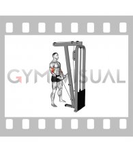 Cable Curl with Multipurpose V bar