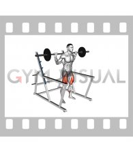 Barbell Low Bar Squat with Rack