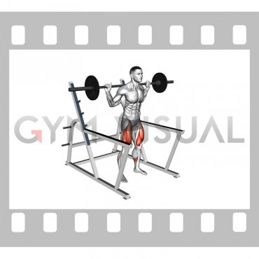Barbell Low Bar Squat with Rack