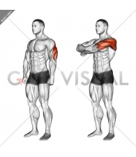 Triceps Stretch