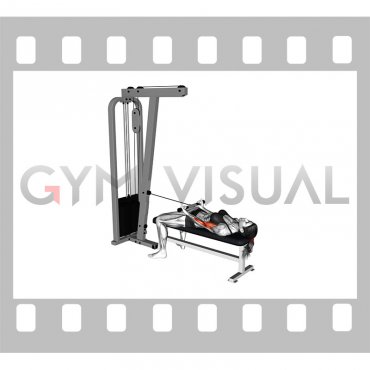 Cable Lying Bicep Curl (female)