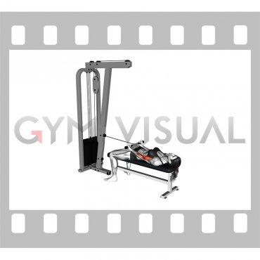 Cable Lying Biceps Curl (female)