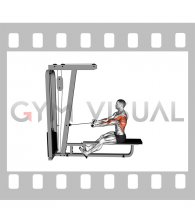 Cable Seated Supine grip Row (male)