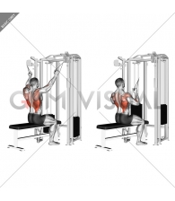 Twin handle parallel grip lat pulldown