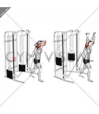Cable Standing Crossover Overhead Tricep Extension