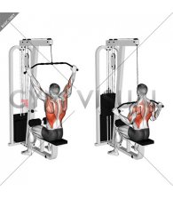 Cable Wide Pulldown