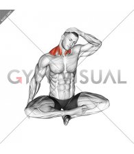 Seated Neck Side Stretch