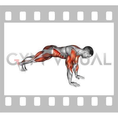 Mountain Climbers Shoulder Tap (male)