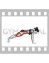 Plank Leg Raises (female)