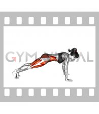 Plank Leg Raises (female)