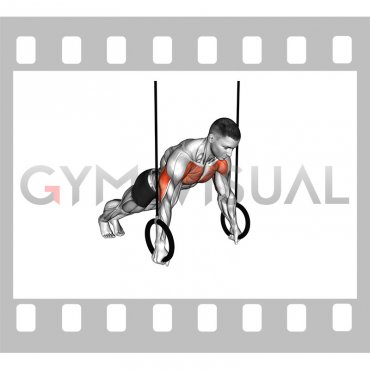 Suspended Push-up