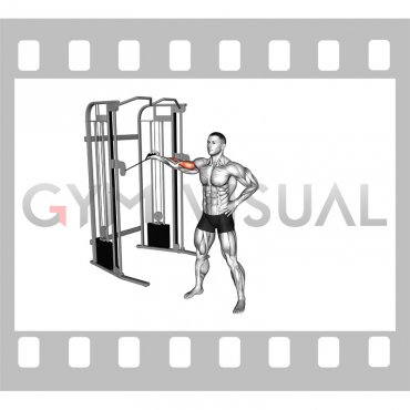 Cable One Arm Inner Biceps Curl